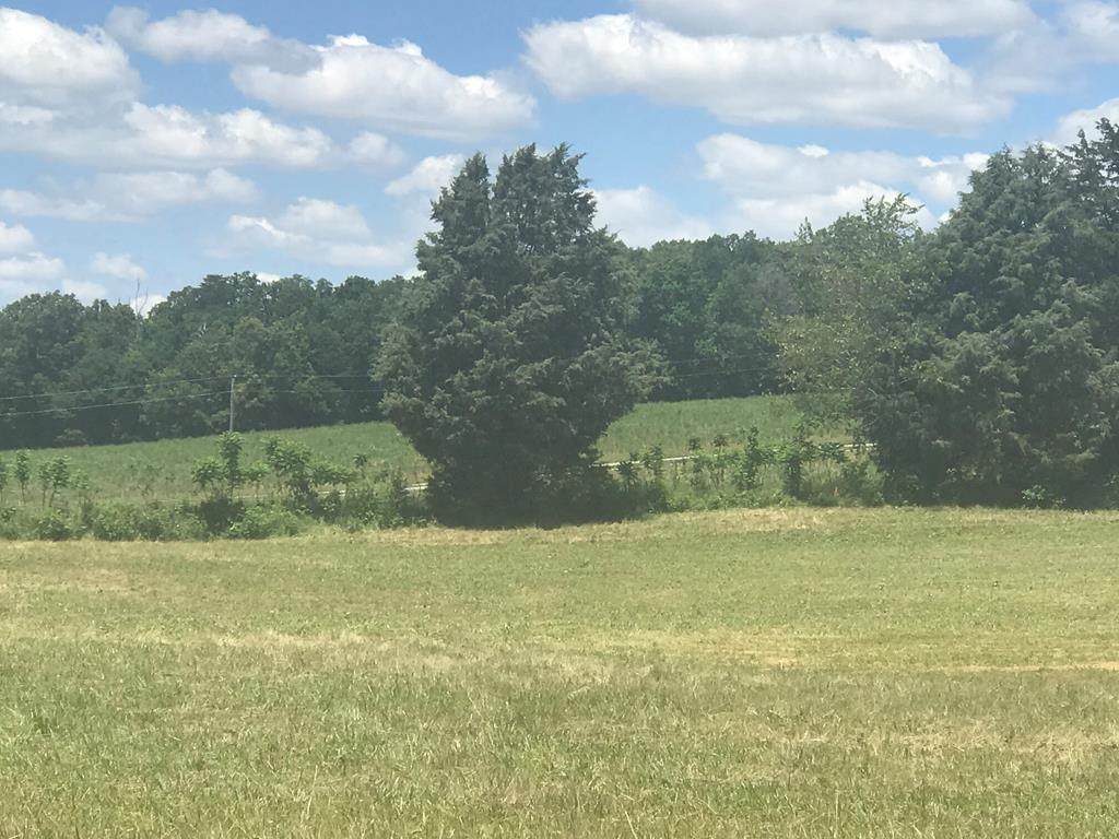 Lot #3 Welcome Valley Road - Photo 1