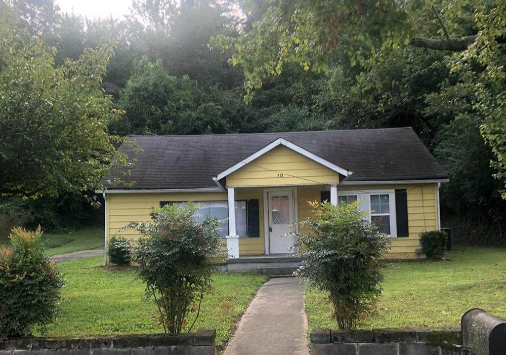 713 Old Riceville Road - Photo 1