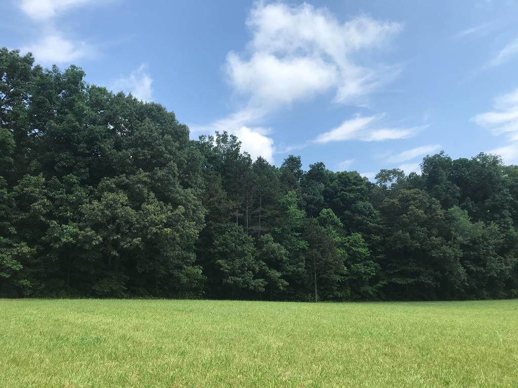 7.62 Acres Old Charleston Road Ne - Photo 1