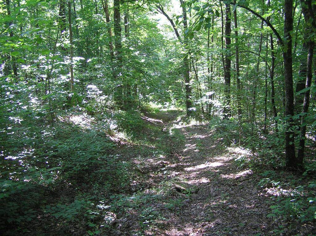 1 Timber Lane - Photo 1