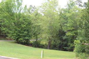 00 Wood Chase - Photo 1