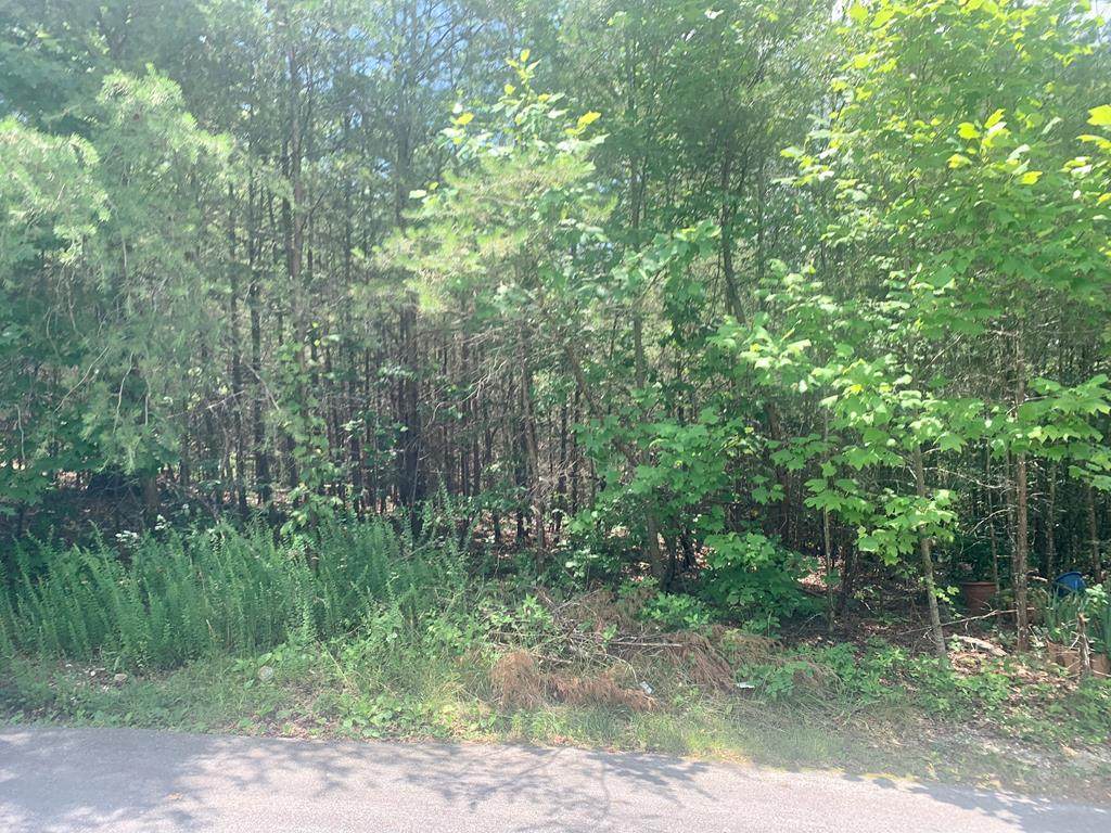 415 Windy Ridge Drive - Photo 1