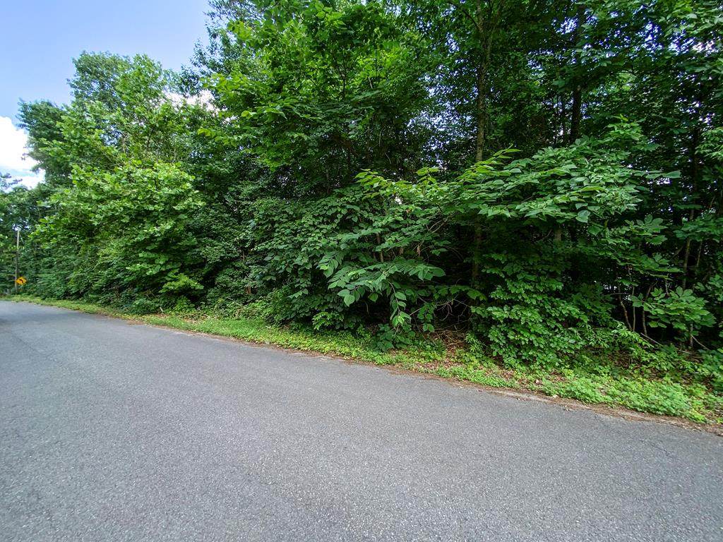 Lots 5&6 Hiwassee Riviera Estates - Photo 1