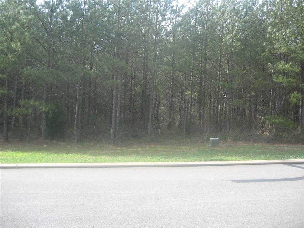 204 Mountain View Circle - Photo 1