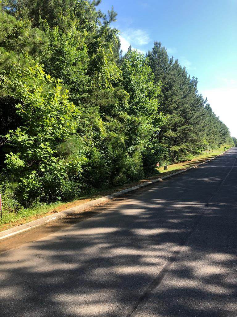 143 White Water Run Lane - Photo 1