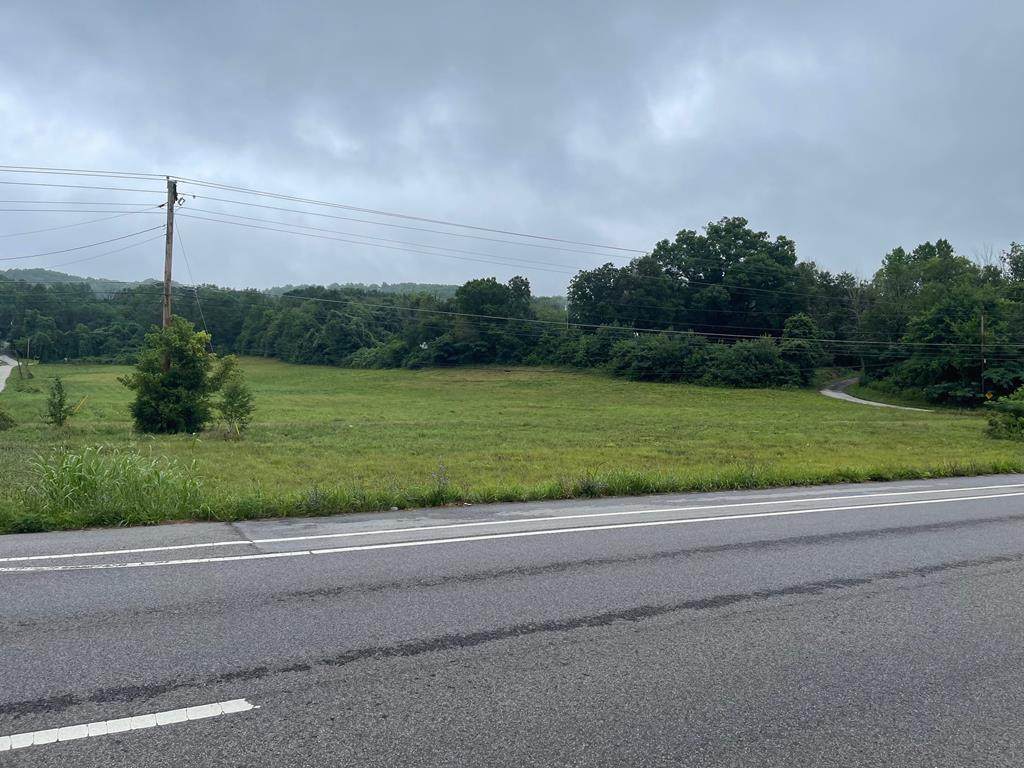 2400 Roane State Highway - Photo 1