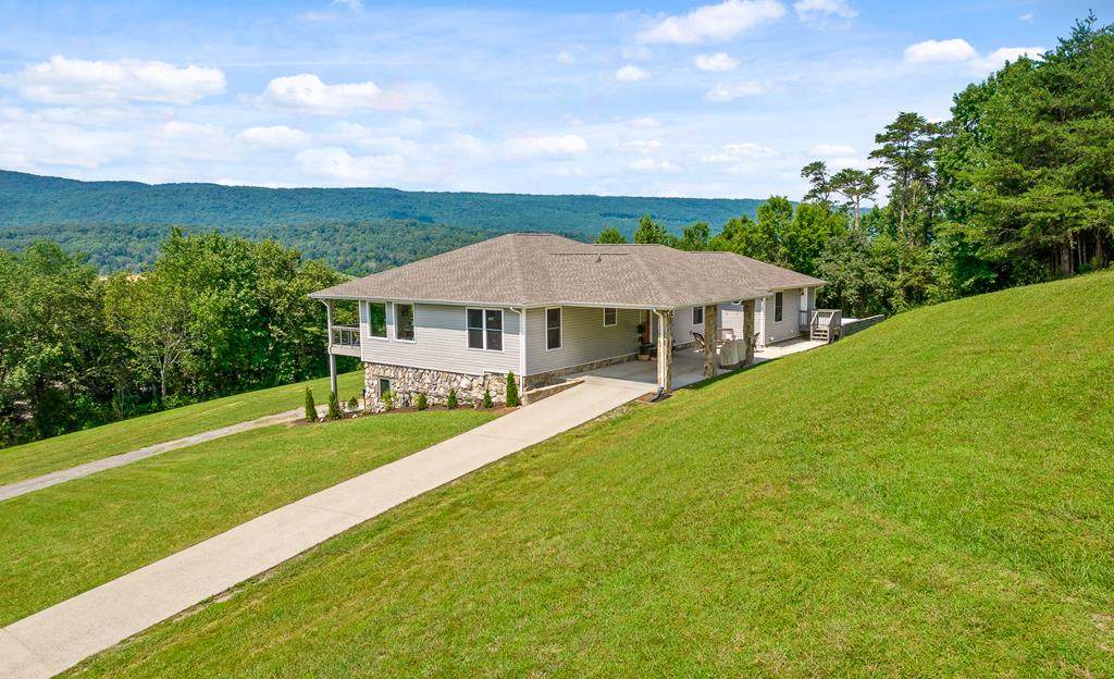 203 Meadow Green Lane - Photo 1
