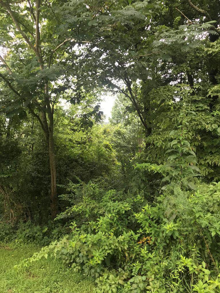 854 Wilson Station Road - Photo 1