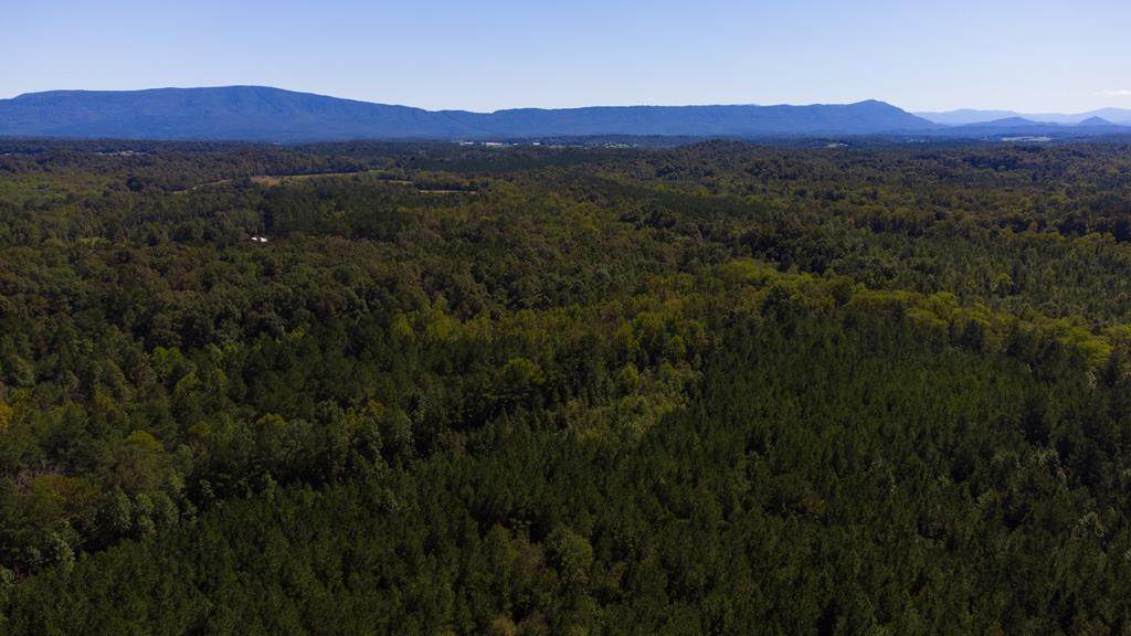 Tract 15 Athens Road - Photo 1