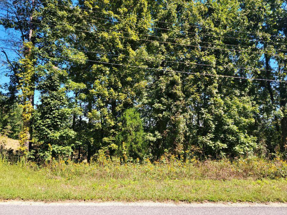 Lot 272 Spruce Drive - Photo 1
