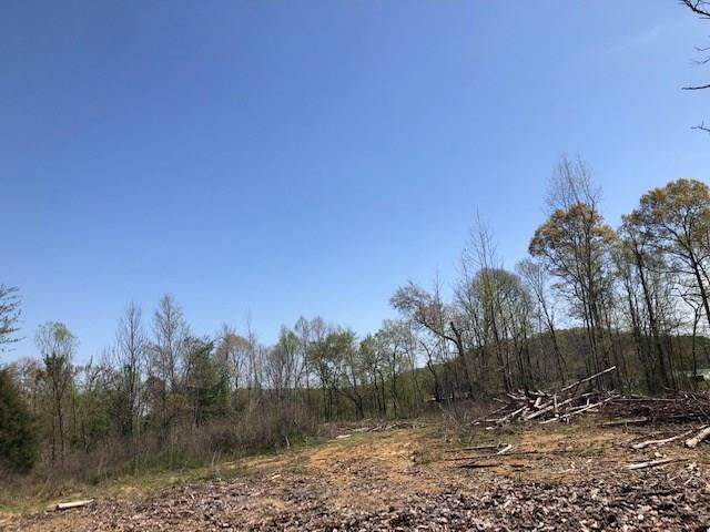 Tract 6 County Road 290 - Photo 1