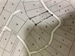Lot 70 Deer Ridge Trail - Photo 1