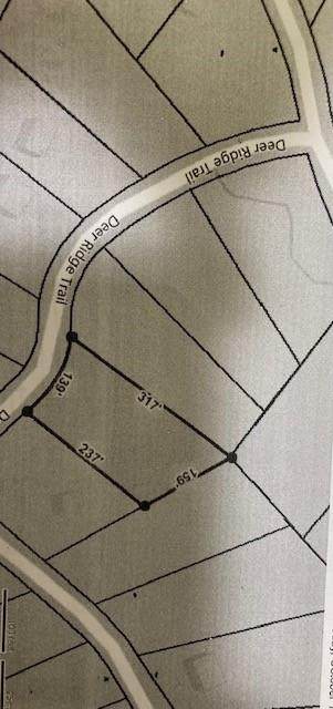 Lot 68 Deer Ridge Trail - Photo 1