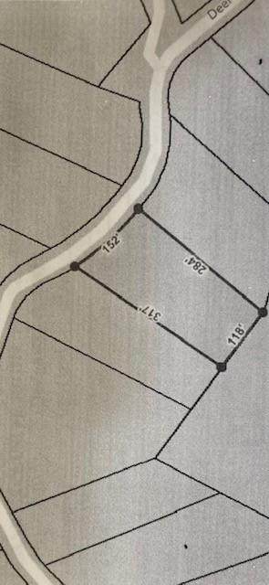 Lot 18 Deer Ridge Trail - Photo 1