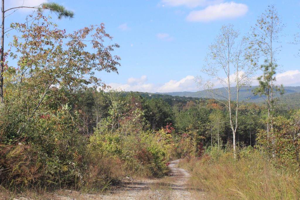 Lot 10 Shut In Gap Road - Photo 1