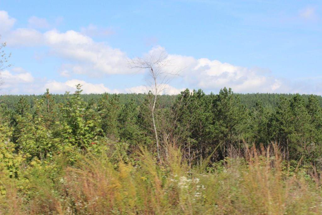Lot 12 Shut In Gap Road - Photo 1