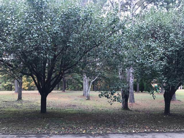 181 Burgess Drive - Photo 1