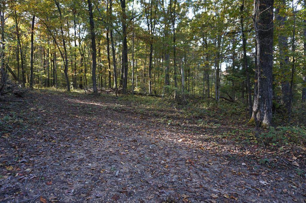 7634 Gamble Road - Photo 1