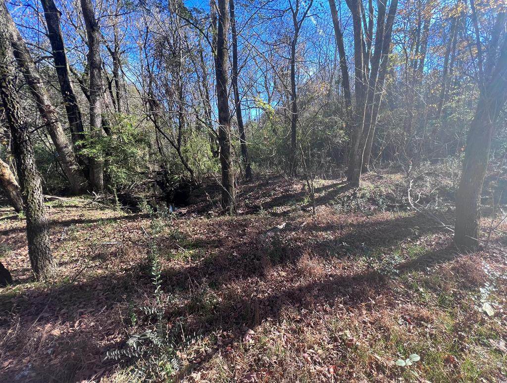 000 Robin Lane Nw - Photo 1