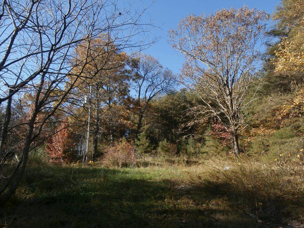 6591 Wolf Creek Road - Photo 1