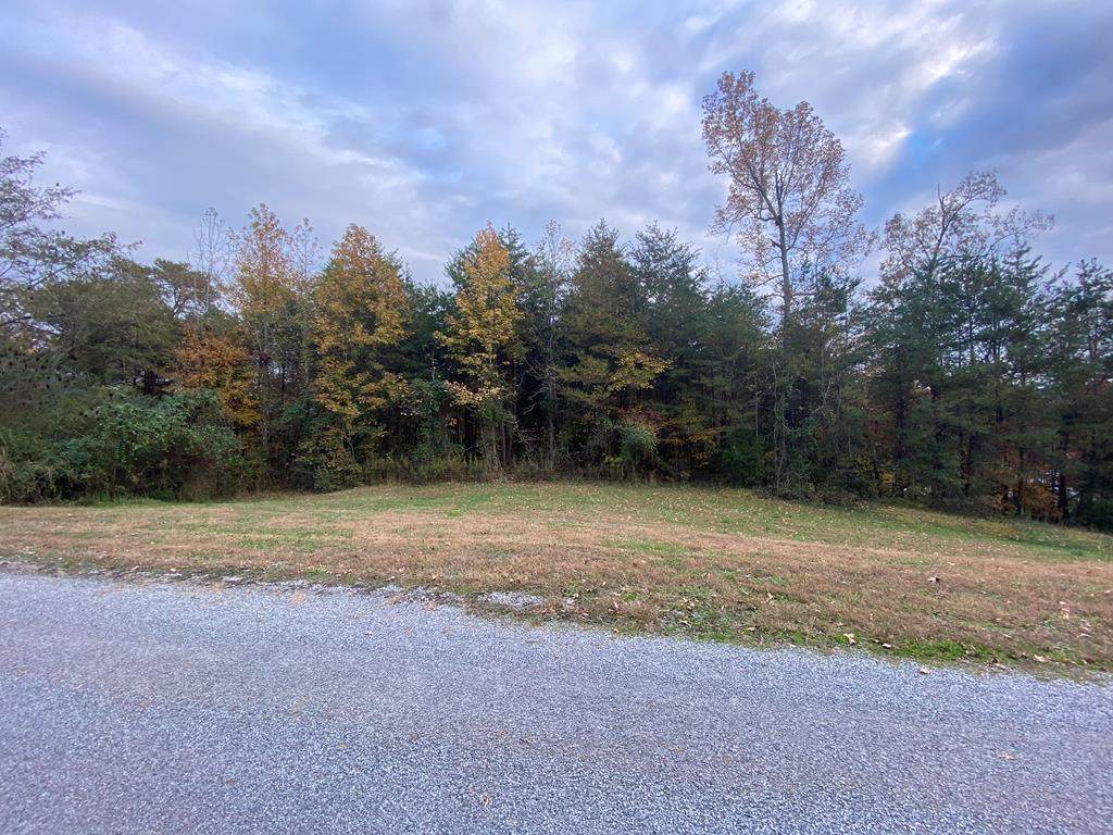 Lot 8 Ellis Lane - Photo 1