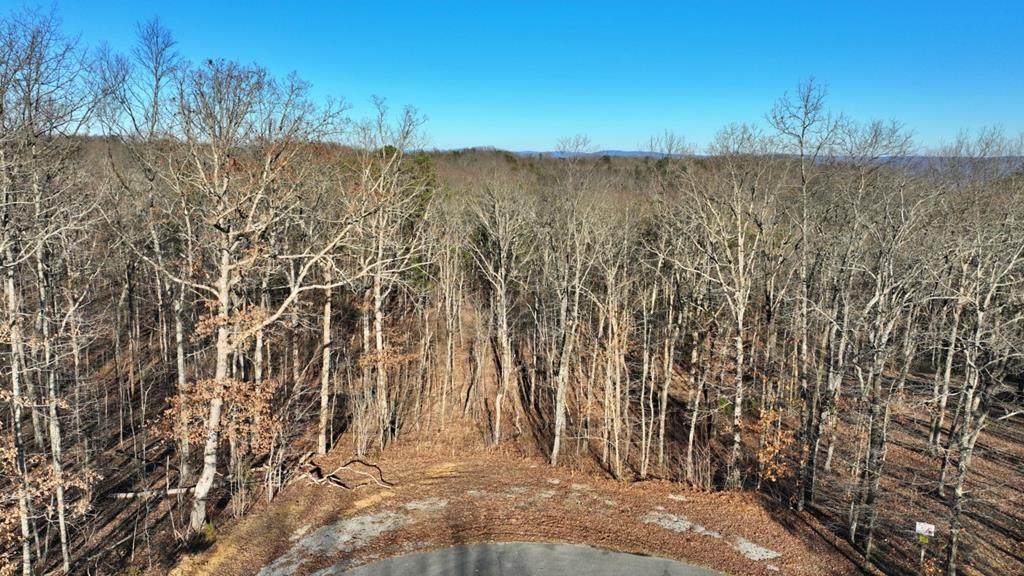 Lot 10 Big Bluff View - Photo 1