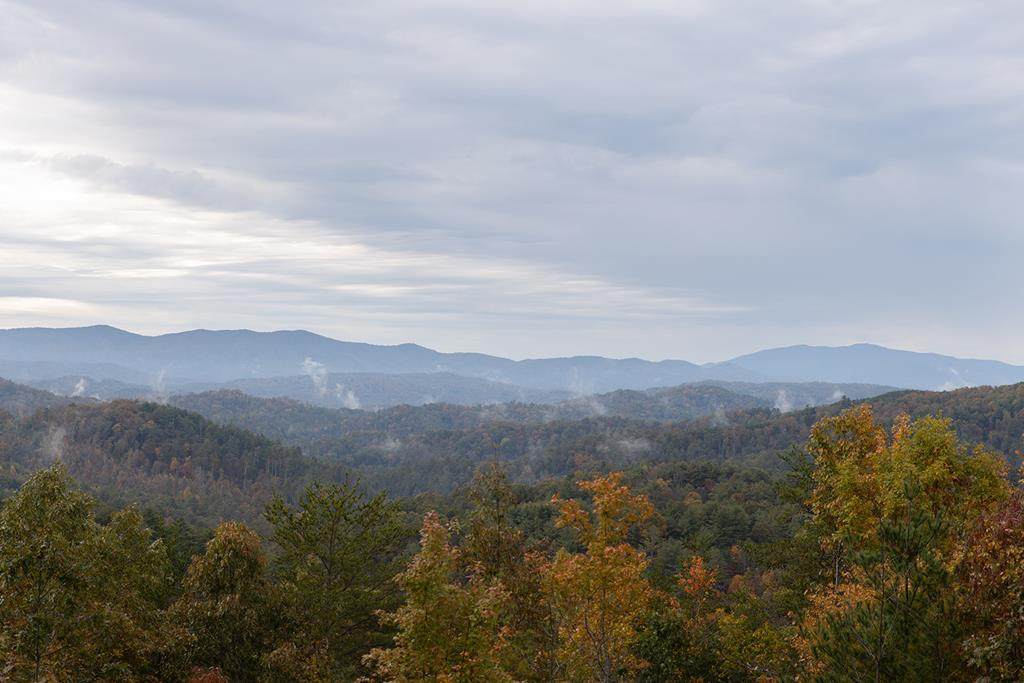 1027 Towee Pike - Photo 1