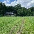 445 Moss Road - Photo 1