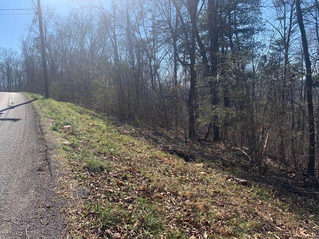 LOTS 54-56 Black Oak Estates Road - Photo 1