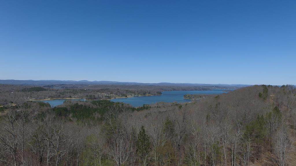 121.28 Acres Wasson Road - Photo 1