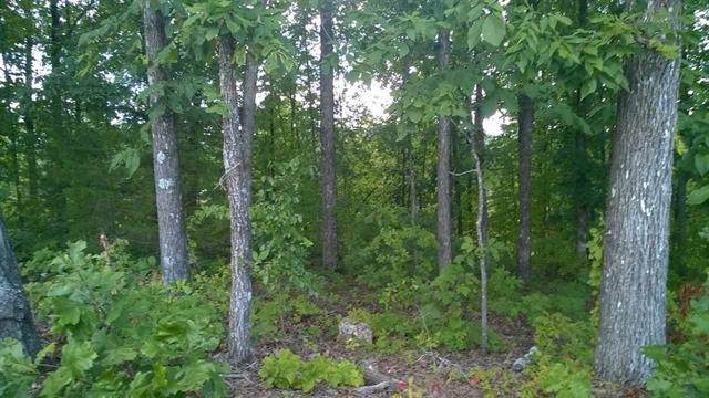 Lot 102 Peach Orchard Hill Road Ne - Photo 1