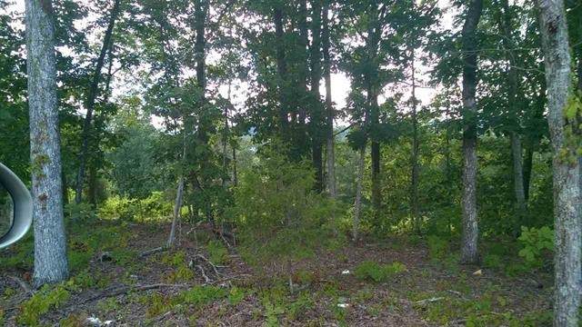 Lot 104 Peach Orchard Hill Road Ne - Photo 1