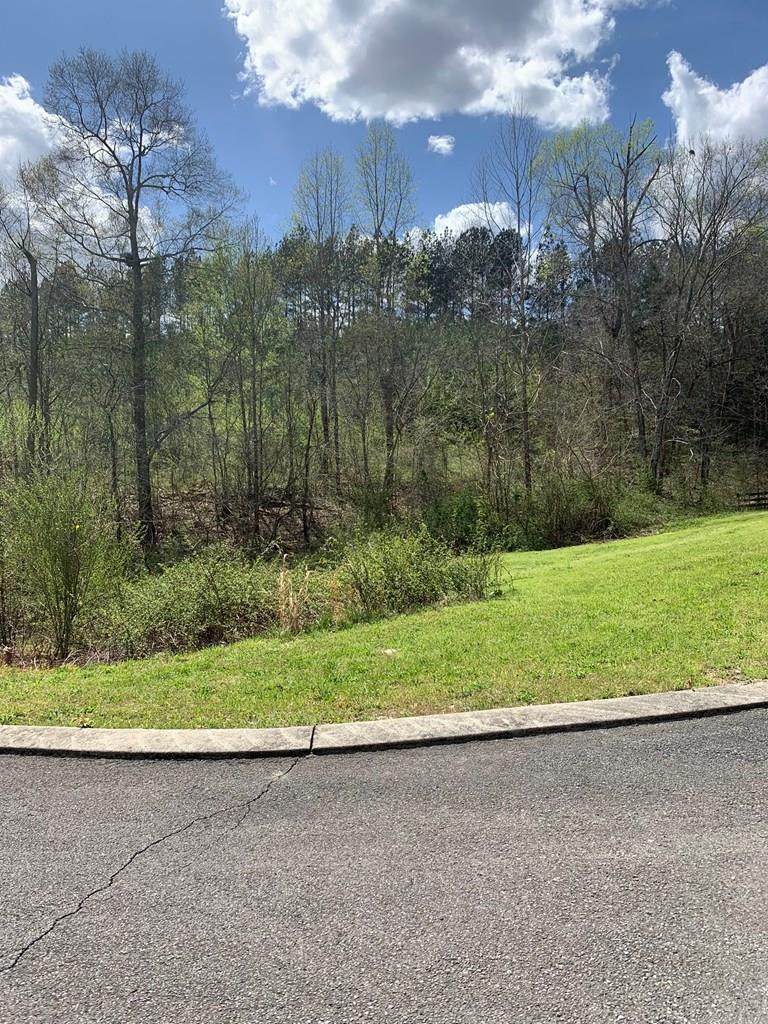 Lot 10 County Road 8, Lot 10 - Photo 1