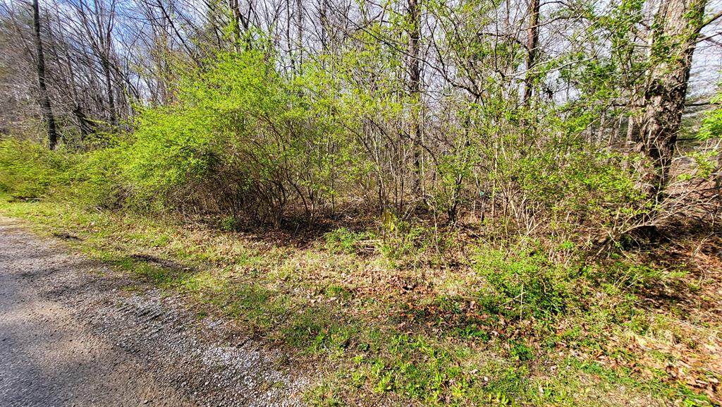 6009 Pocahontas Lane - Photo 1