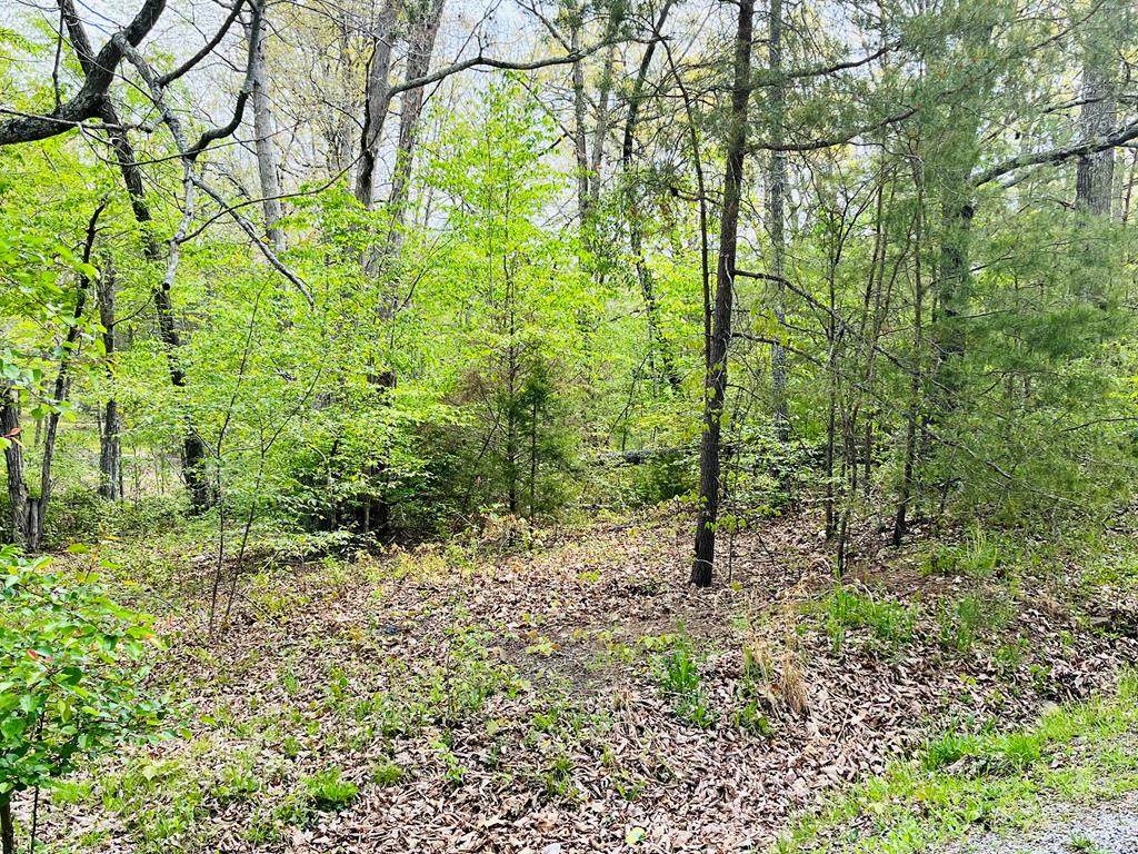 109 Avon Lane - Photo 1