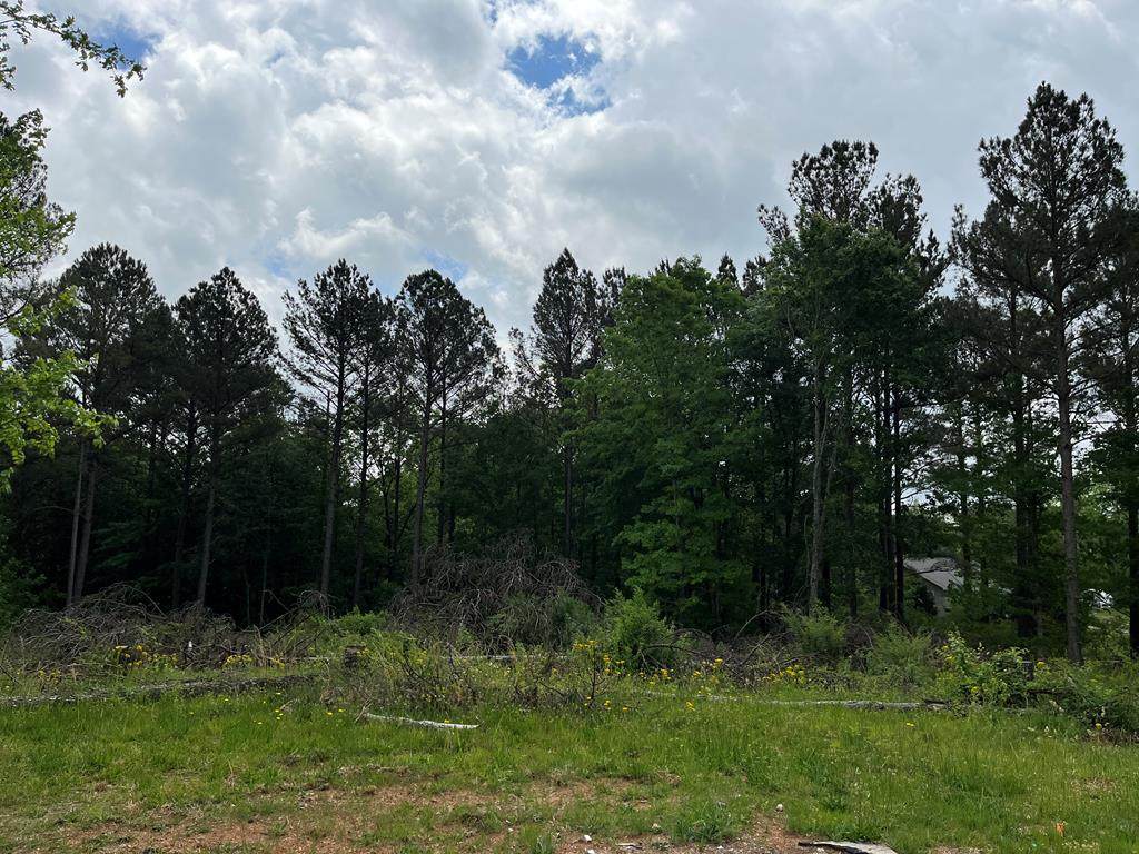 Lot 10 County Road 3050 - Photo 1
