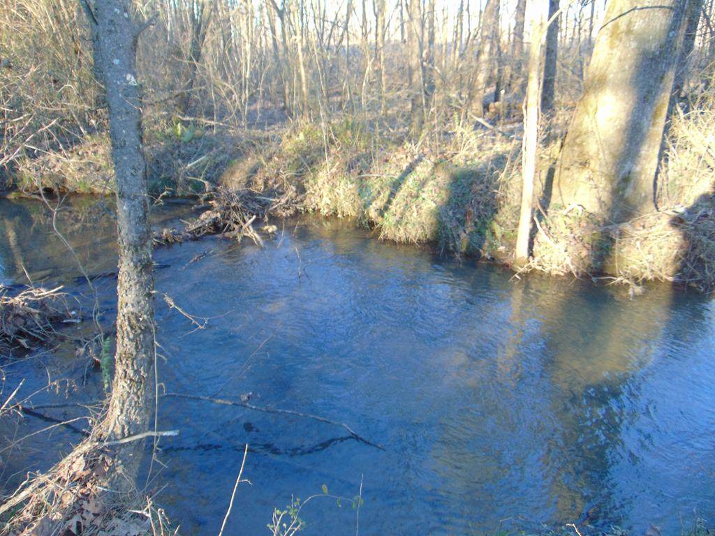 Tract 1 Hughes Lake Road Se - Photo 1