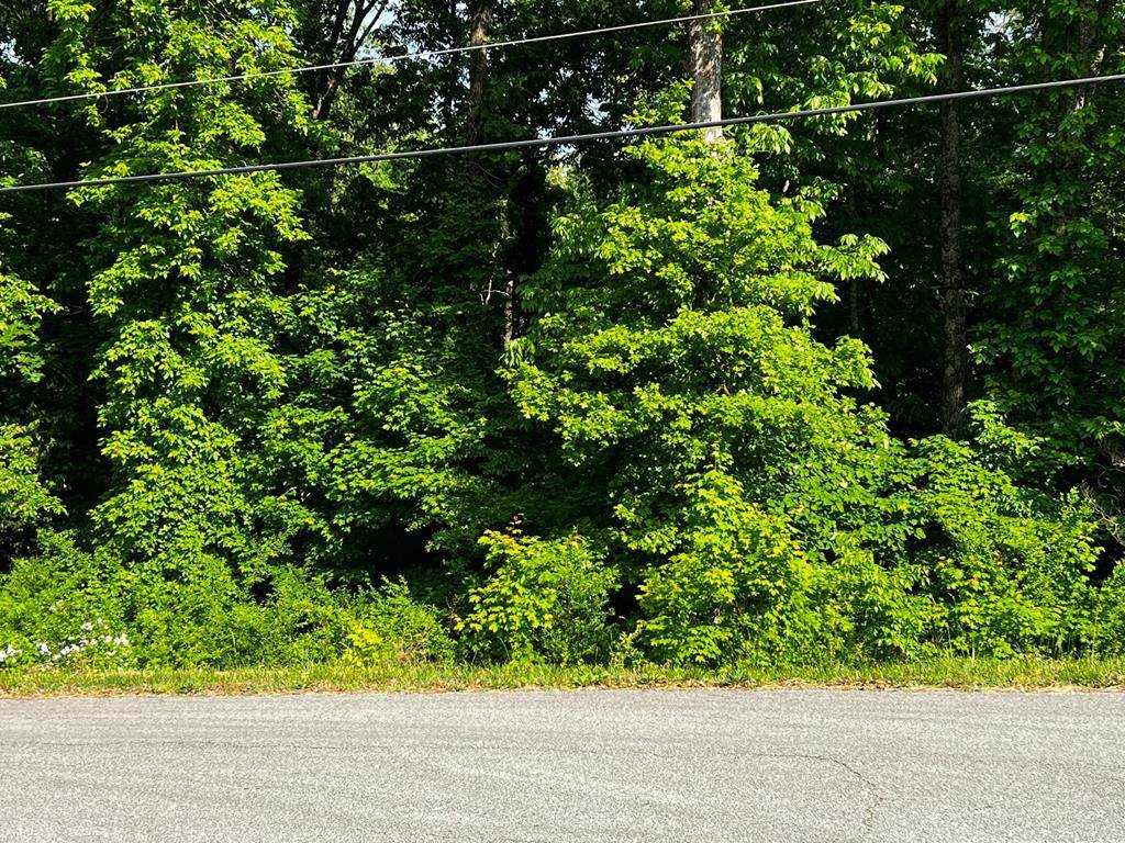 Lot 10 Hathburn Drive - Photo 1