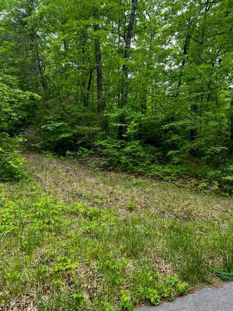 0 Hickory Hollow Road - Photo 1