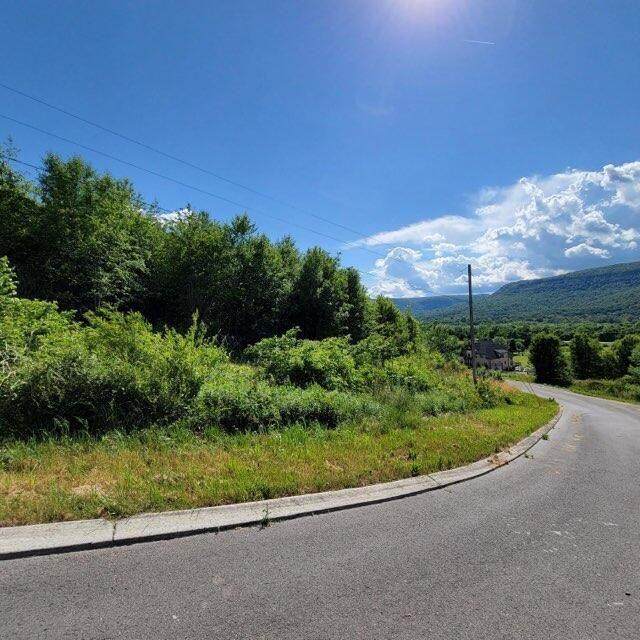 0 Hardin Road Lot 74 - Photo 1