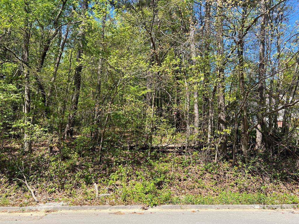 00 Woodgate Road - Photo 1