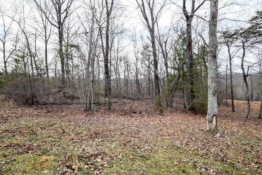 125 & 153 Hidden Forest Trail - Photo 1