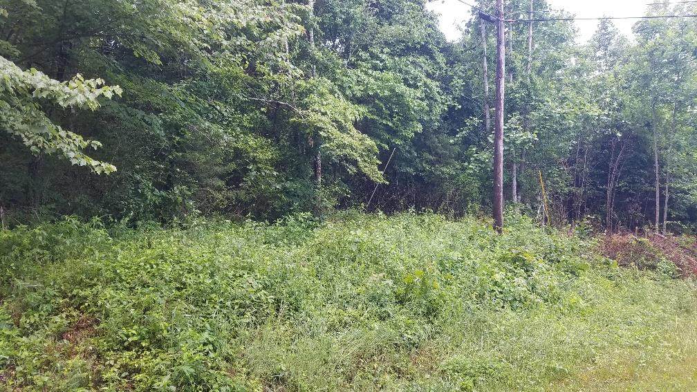 Lot # 9 & 10 Elkmont Circle Se - Photo 1