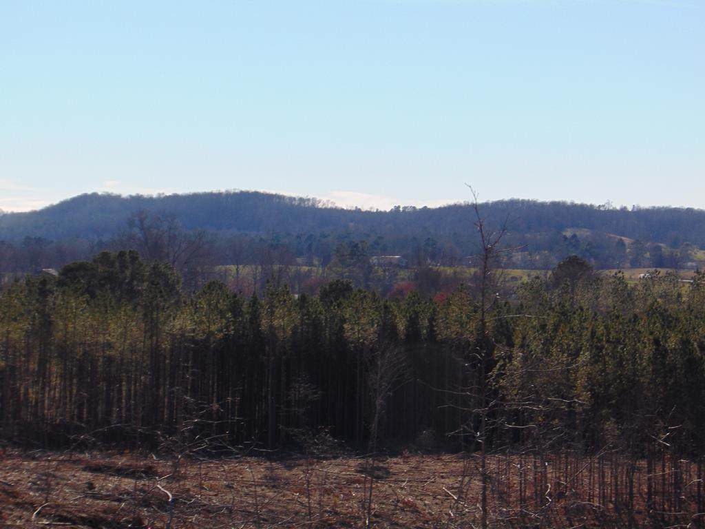 Tract 17 Hughes Lake Road Se - Photo 1