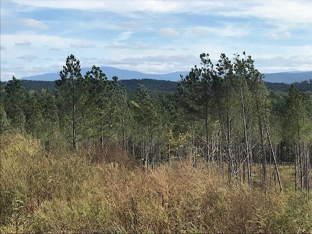 Tract 20 Hughes Lake Road Se - Photo 1