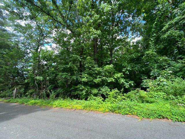 Lot 33 Ocoee Circle - Photo 1
