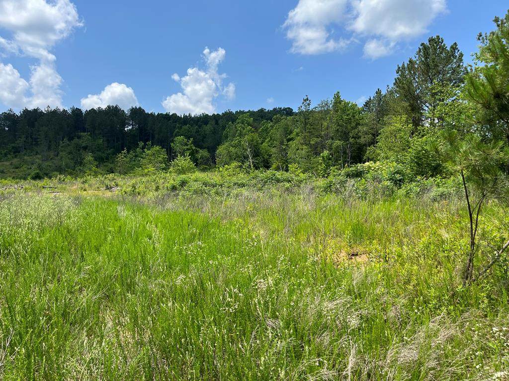 0 County Road 102 - Photo 1