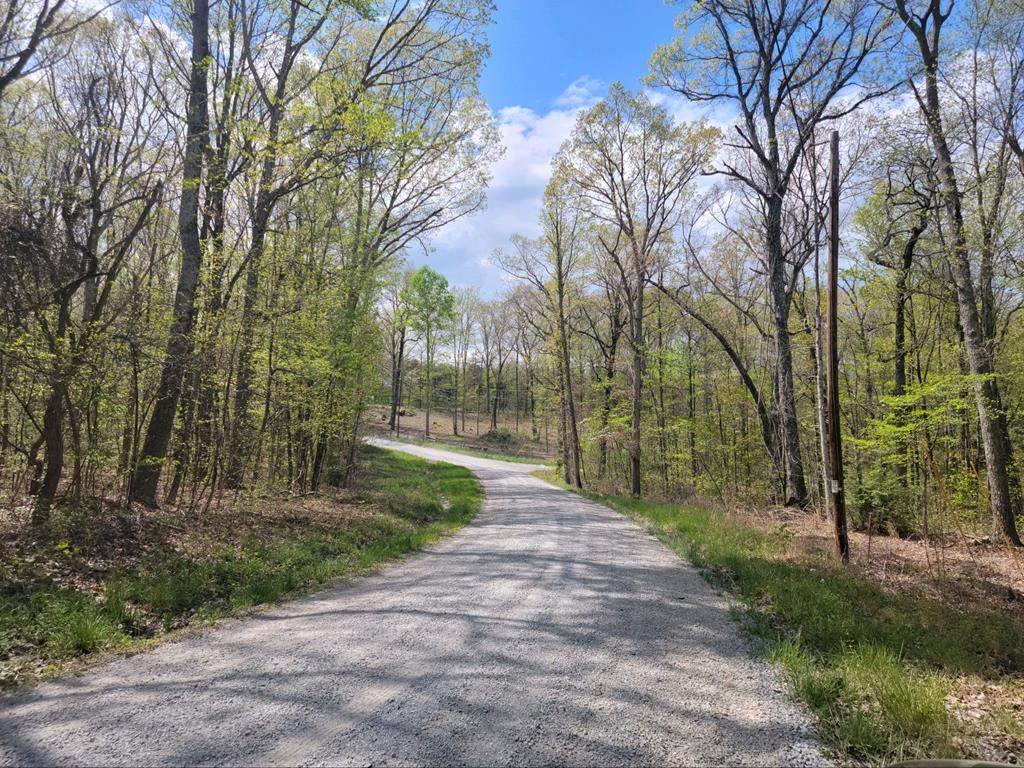 00 Log Road - Photo 1
