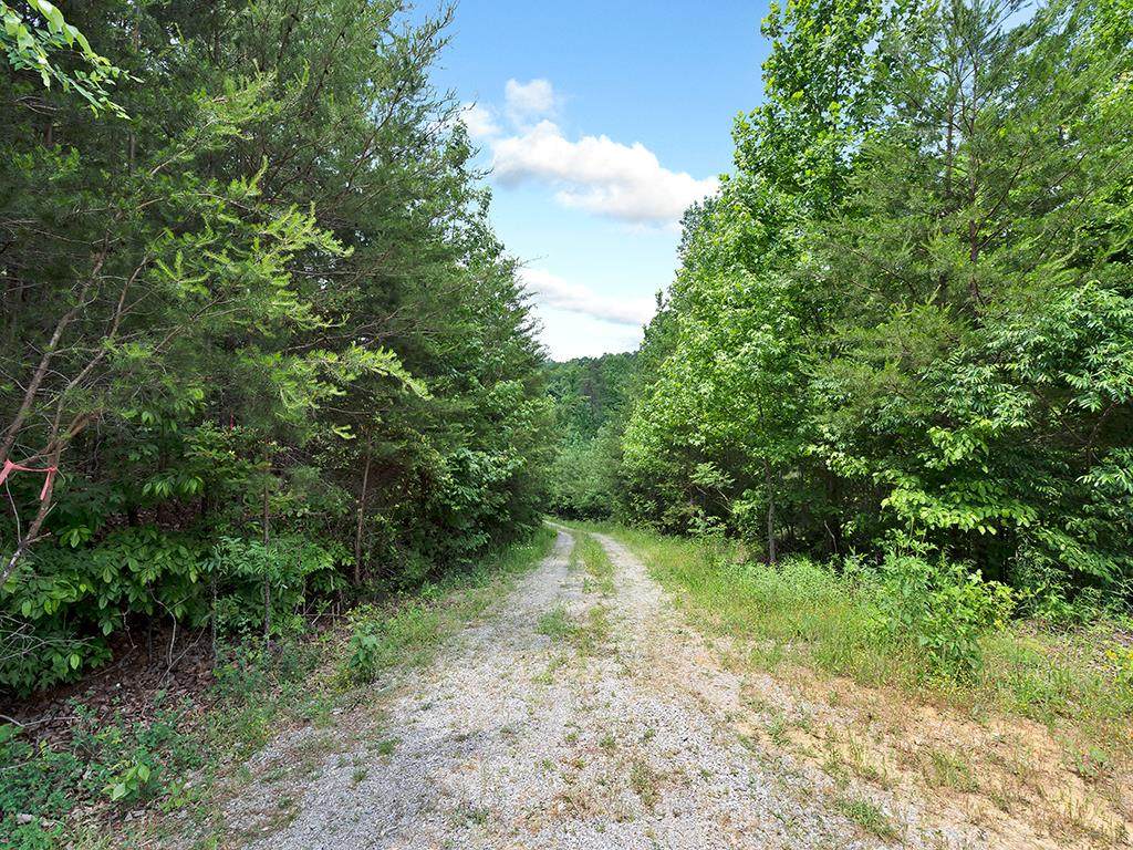 147 Gage Lane - Photo 1