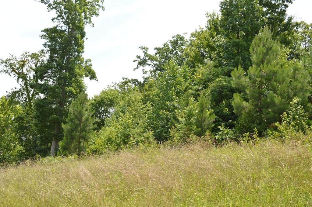 Lot 41 Greystone Lane Se - Photo 1